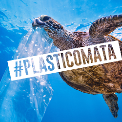 #plasticomata