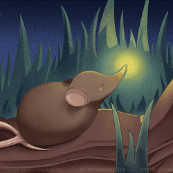 Shrew & Bug