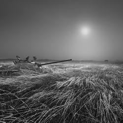 "ALONG THE WAY" [18 Odd shots]