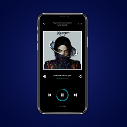 Mobile Application UI