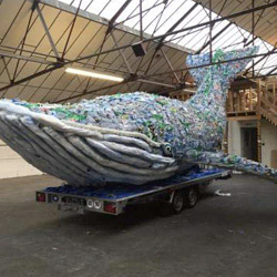 Plastic Whales