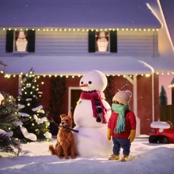 Greenies - Snowman
