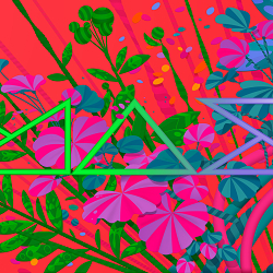 Adobe MAX