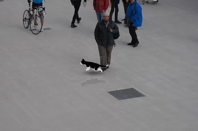 Commuter Mischief