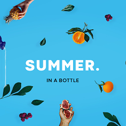 Summer | Brand Identity and Art Direcion