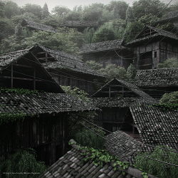 Mist is Coming ...