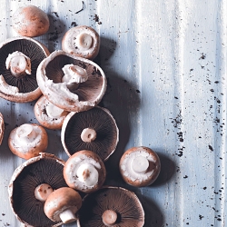 M&S FOOD / PHOTOGRAPHIC ART DIRECTION