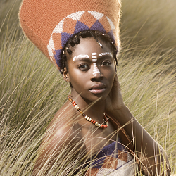 African Renaissance Collaboration