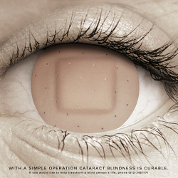 National Council for the Blind – Right to Sight