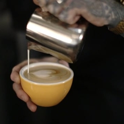 "Espresso" - Sound By Munzie Thind