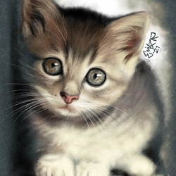 Hazel