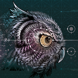 Rezonance NYE Festival 2014/15