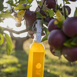 Östersken Apple Cider