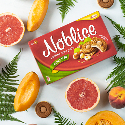 Instagram Content Creation for Noblice