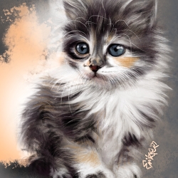 Fluff
