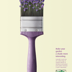 Cuprinol Garden Wood Paint