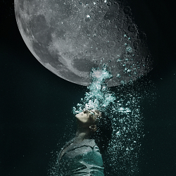 ELON MUSK | DEARMOON | INSPIRED | FANTASY SPACE TRAVEL
