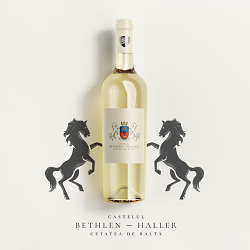 Bethlen - Haller Castle Coat of Arms