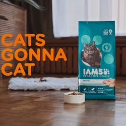 IAMS -Catness