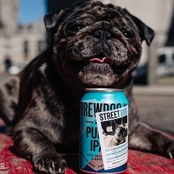 Brewdog - Street Dog