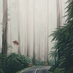 Windy Roads (3)