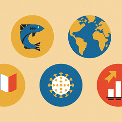 Path to Pandemic Infographic