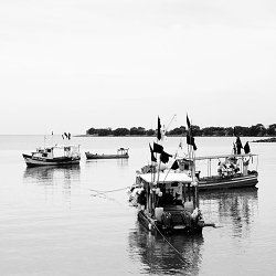 Fishing fresh pictures