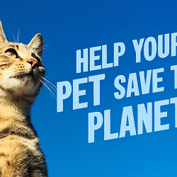 AARDVARK. Sustainable insect-based pet food for pets that love the planet.