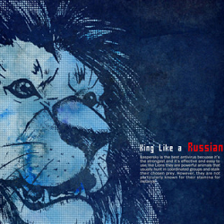 Kaspersky Campaign