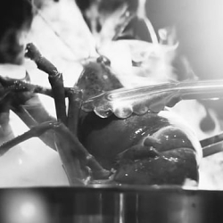 The Taste Revolution at Harrods