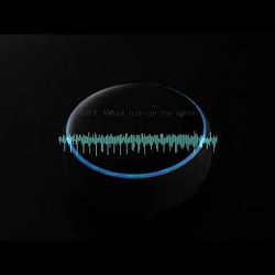 Alexa's Burnout