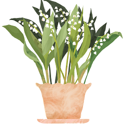 Houseplant Theatre