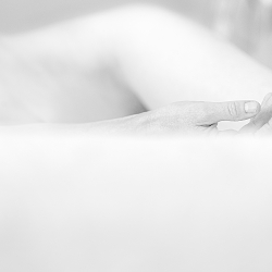 WHITE LIGHT – The Artist