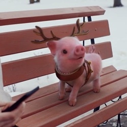 Juice | MOONPIG – Christmas
