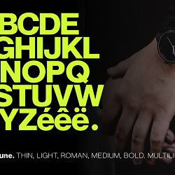 Neue June Sans Serif Font