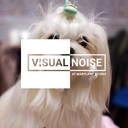 VISUAL NOISE AT MARYLAND STUDIO: NEXT GENERATION OF PHOTOGRAPHY VOICES EXHIBIT WITH RANKIN