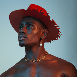 Nouveau Western - Printed Art serie & Editorial