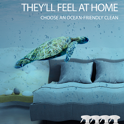 InnuScience Global Campaign | Ocean Plastic