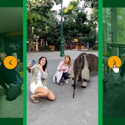 WWF & Google | #TheOtherReality
