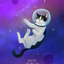 Cat Illustrations