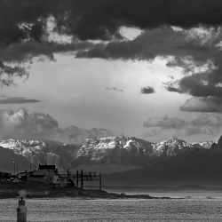 THE BAY