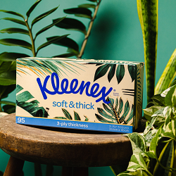 Kleene Tissue Box Design