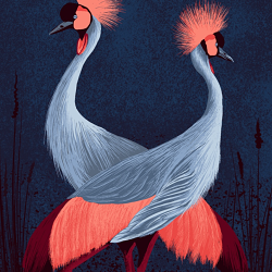 Wildlife Series - by Louise Billyard