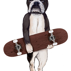 French Bulldog with Skateboard