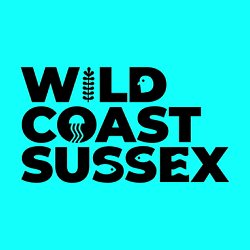 Wild Coast Sussex – Brand Identity