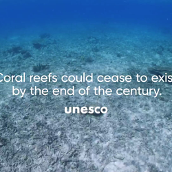 Hope Reef (Case Film)