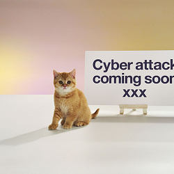 BT Cyber crime