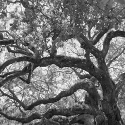 With Great Complexity Comes Great Reward | Aberlour