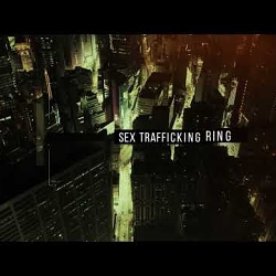 Crime Interrupted
