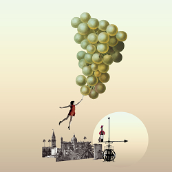 Tio Pepe wine bottle design